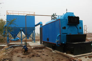 膠帶廠燃煤鍋爐脫硫除塵方案及衡水市鍋爐煙氣除塵公司運作思路